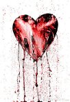 bleeding heart