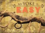 easy yoke